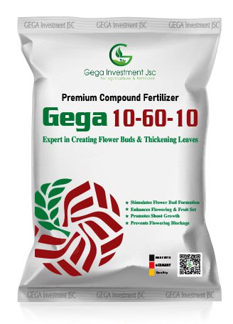 Gega 10-60-10 fertilizer packaging — silver bag design with red and green lotus pattern, created by Silver Lotus for Vietnamese agricultural brand Gega Investment.