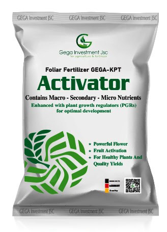 Activator foliar fertilizer packaging — silver bag with green lotus motif designed by Silver Lotus for Gega Investment, highlighting plant growth regulation and high-yield performance.